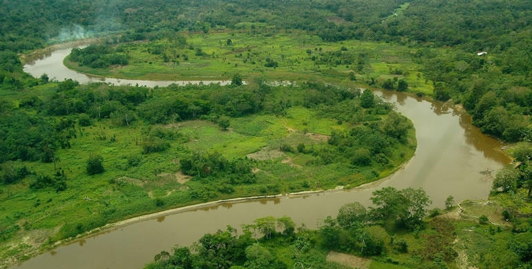 Amazon Side River