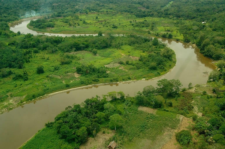 Amazon Side River